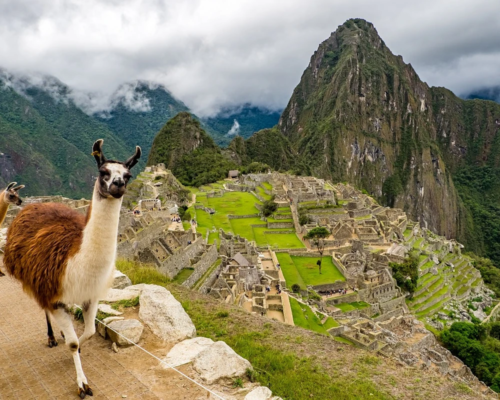 Inca Jungle Trek – Ending at Cusco