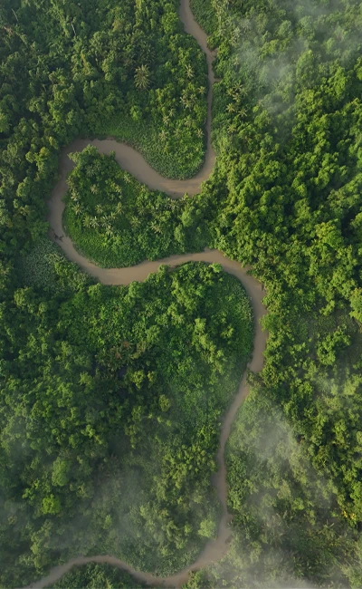 Destino Amazonas